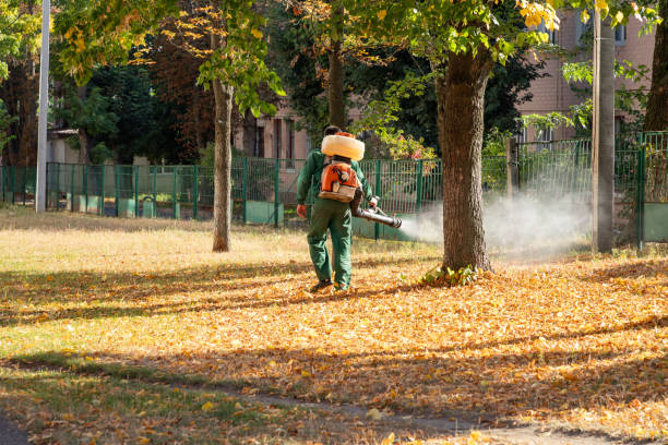 Pest Control for Restaurants in Brushy Creek, TX