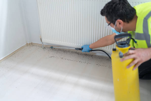 Best Residential Pest Control  in Brushy Creek, TX